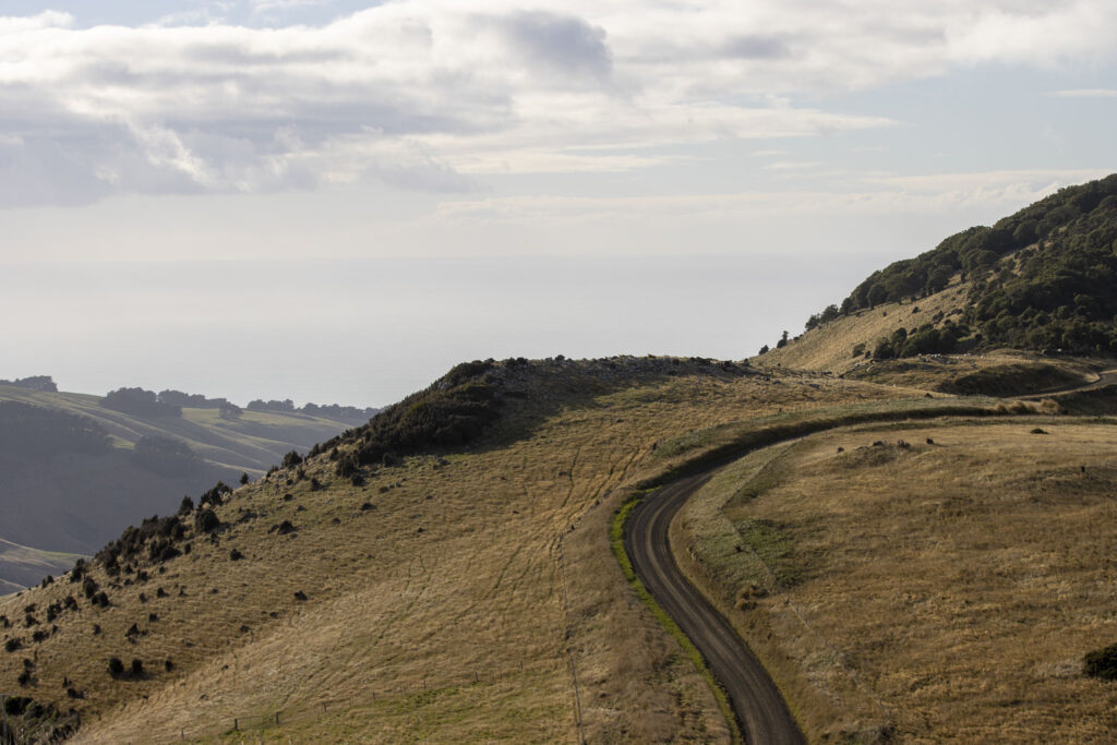 route Nouvelle-Zélande Route dans les champs en Nouvelle-Zélande